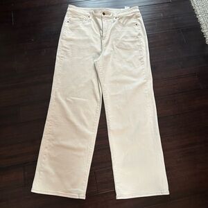 Chico’ high rise straight leg pants NWT